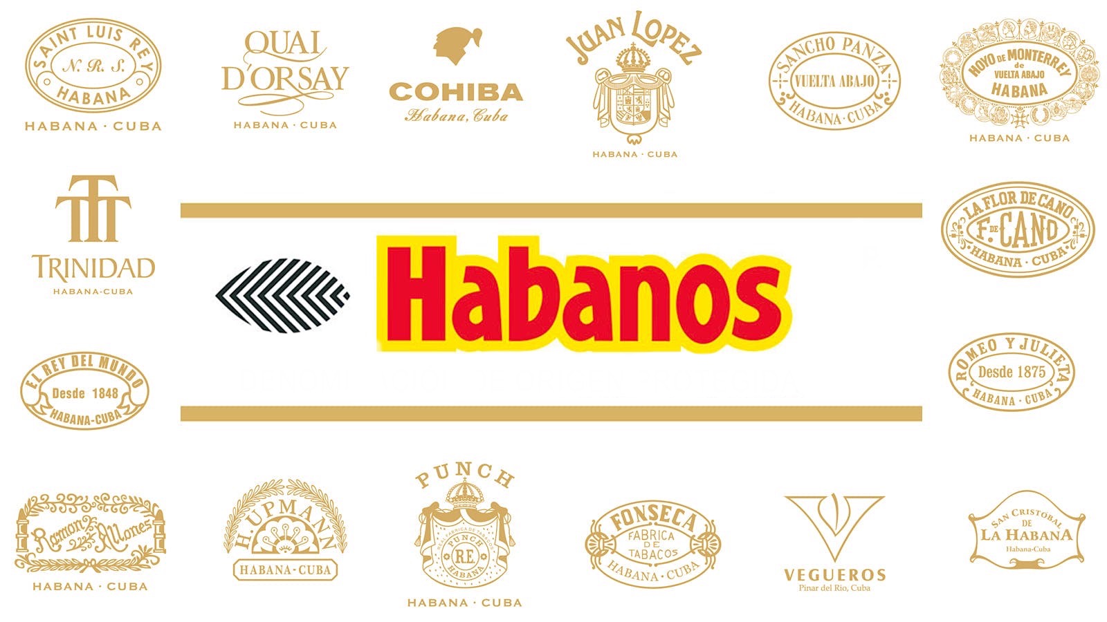Cigar Types and Shapes in Detail